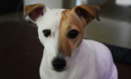 stephan-faessler-M8ddmW1n5R8-unsplash